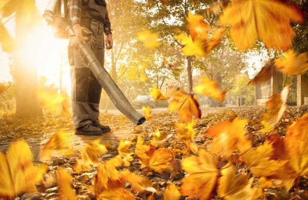Leaf Blowing Service in Winchester