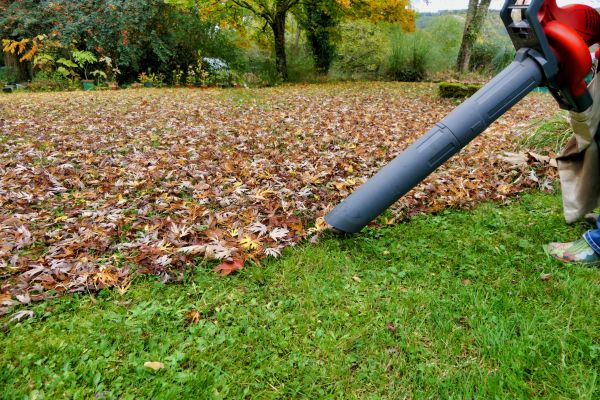 Leaf Vacuuming Service in Winchester