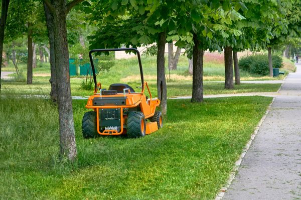 Landscaping Cleanup Service in Winchester