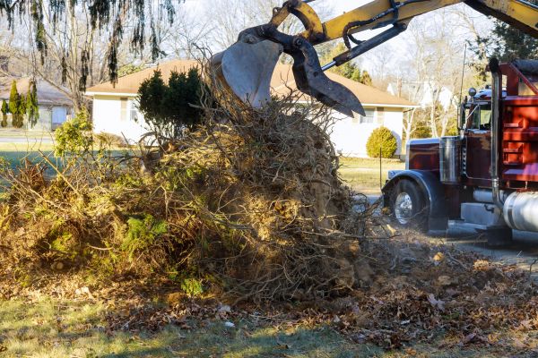 Cost of Storm Debris Removal in Winchester
