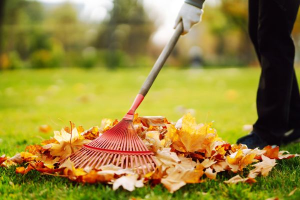 Ditch Leaf Removal in Winchester