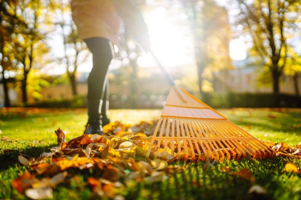 Leaves Raking in Winchester