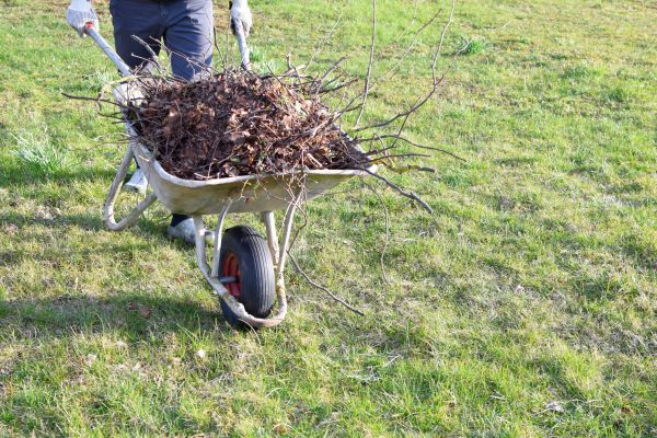 Cost of Yard Brush Removal in Winchester