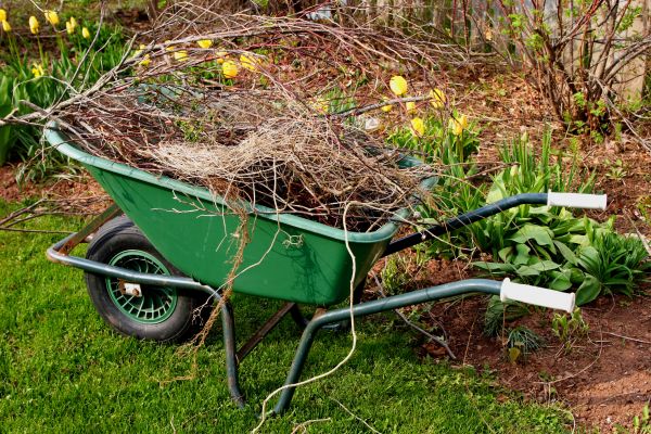 Cost of Lawn Waste Removal in Winchester