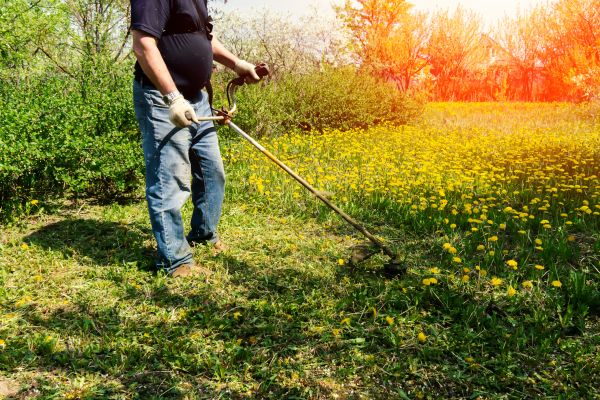 Yard Clearing Service in Winchester