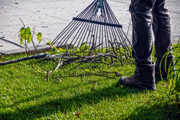 Yard Debris Cleanup in Winchester