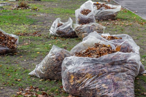 Leaf Pile Disposal in Winchester