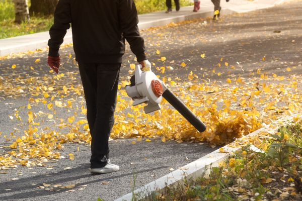 Cost of Commercial Leaf Removal in Winchester