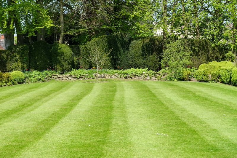 Lawn with Clean Edges