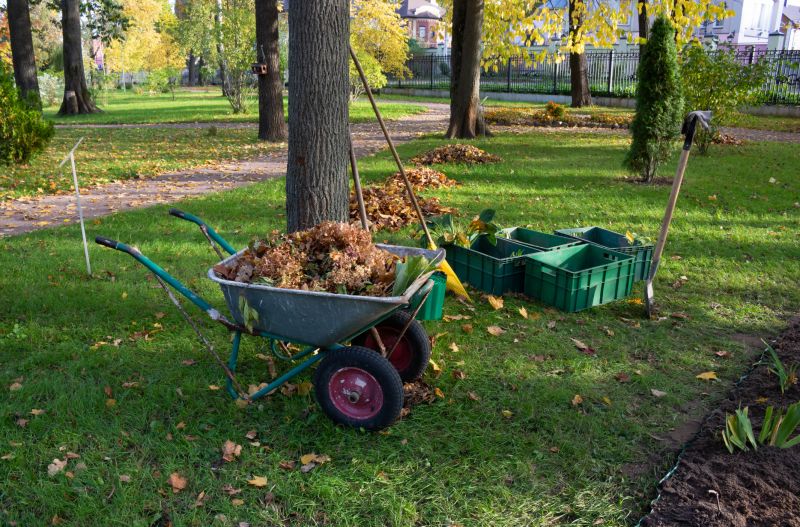 Leaf Raking Service detail
